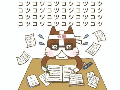 [宅建試験まで残り38日！]丁寧に解けば正解率アップ！宅建業法をじっくり攻略！